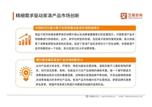 2024年中国家清产品消费趋势洞察与知识产权保护