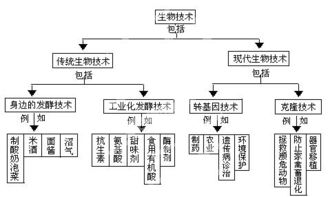 生物技术概念图解读 从酸奶与泡菜看知识产权在生物领域的应用